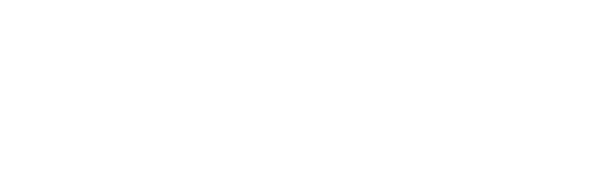 ESSoftware Logo